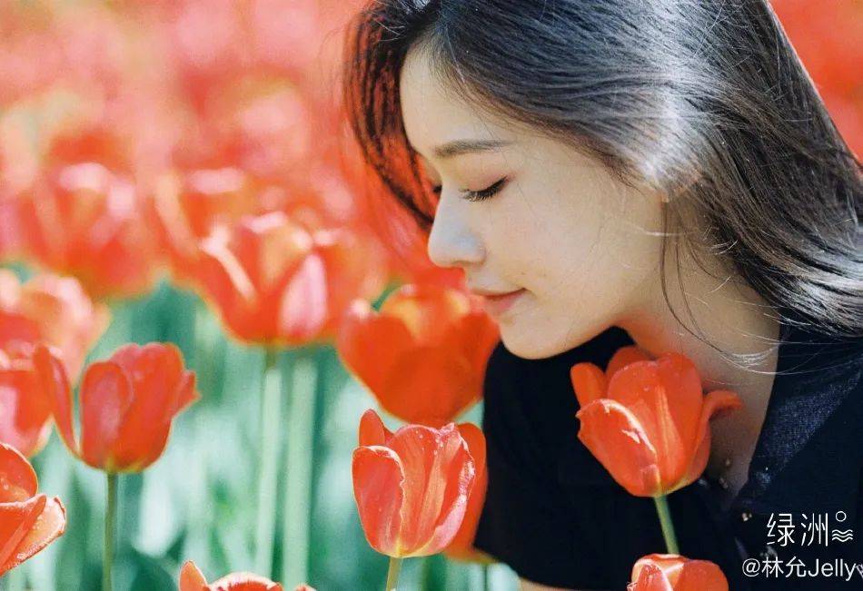 �������Ứ����ͼ�����ޣ������崿��������̫��������